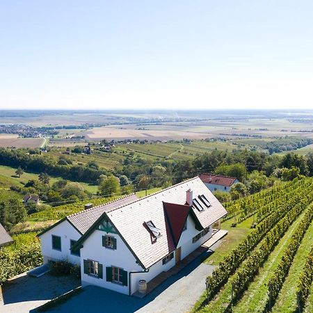 Kellerstoeckl Weinblick I Und II Villa Eisenberg an der Pinka Dış mekan fotoğraf