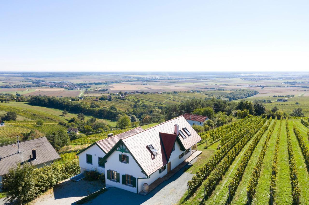 Kellerstoeckl Weinblick I Und II Villa Eisenberg an der Pinka Dış mekan fotoğraf