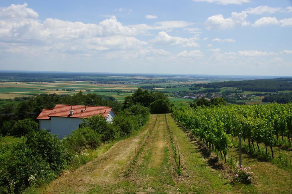 Kellerstoeckl Weinblick I Und II Villa Eisenberg an der Pinka Dış mekan fotoğraf